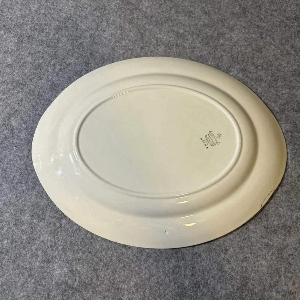 Homer Laughlin #J49N5 Eggshell Nautilus ORCHARD Fruit oval platter‎ 11.5X9'' VTG